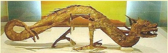 中國黃龍洞發(fā)現真龍