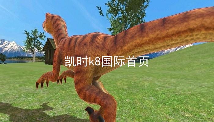 凯时k8国际首页