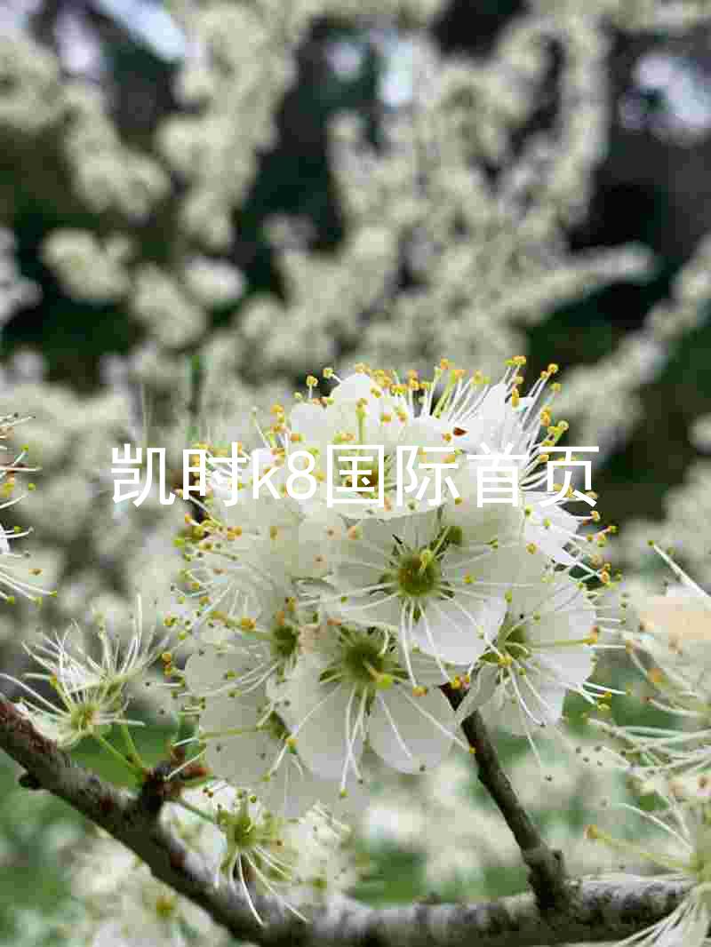 凯时k8国际首页