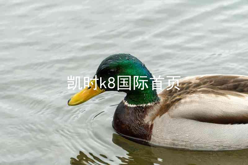 凯时k8国际首页