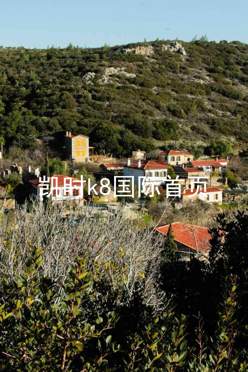 凯时k8国际首页